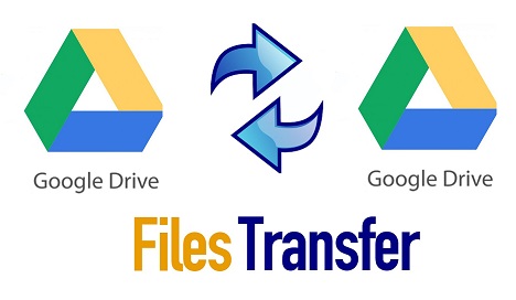 google drive download all