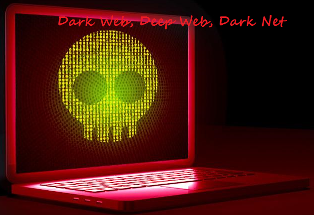 Darknet Markets Up