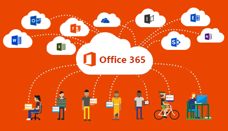 Office 365 Users