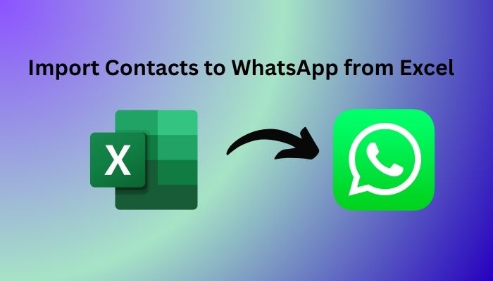 import-contacts-to-whatsapp-from-excel-pro-tips